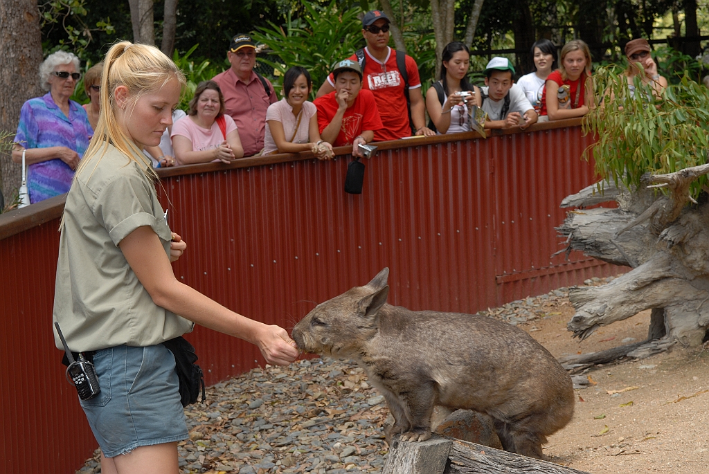 0064 Cairns Tropical Zoo.jpg